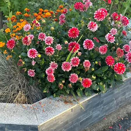 Diamond House Deluxe 9 Koblenz (Rhineland-Palatinate)