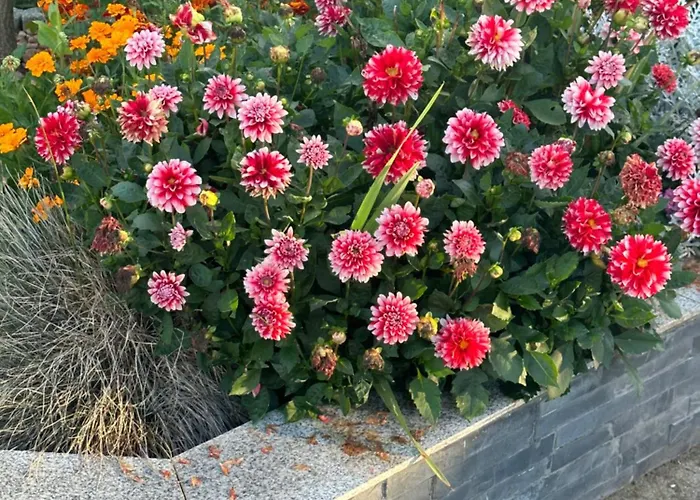 Diamond House Deluxe 9 코블렌츠